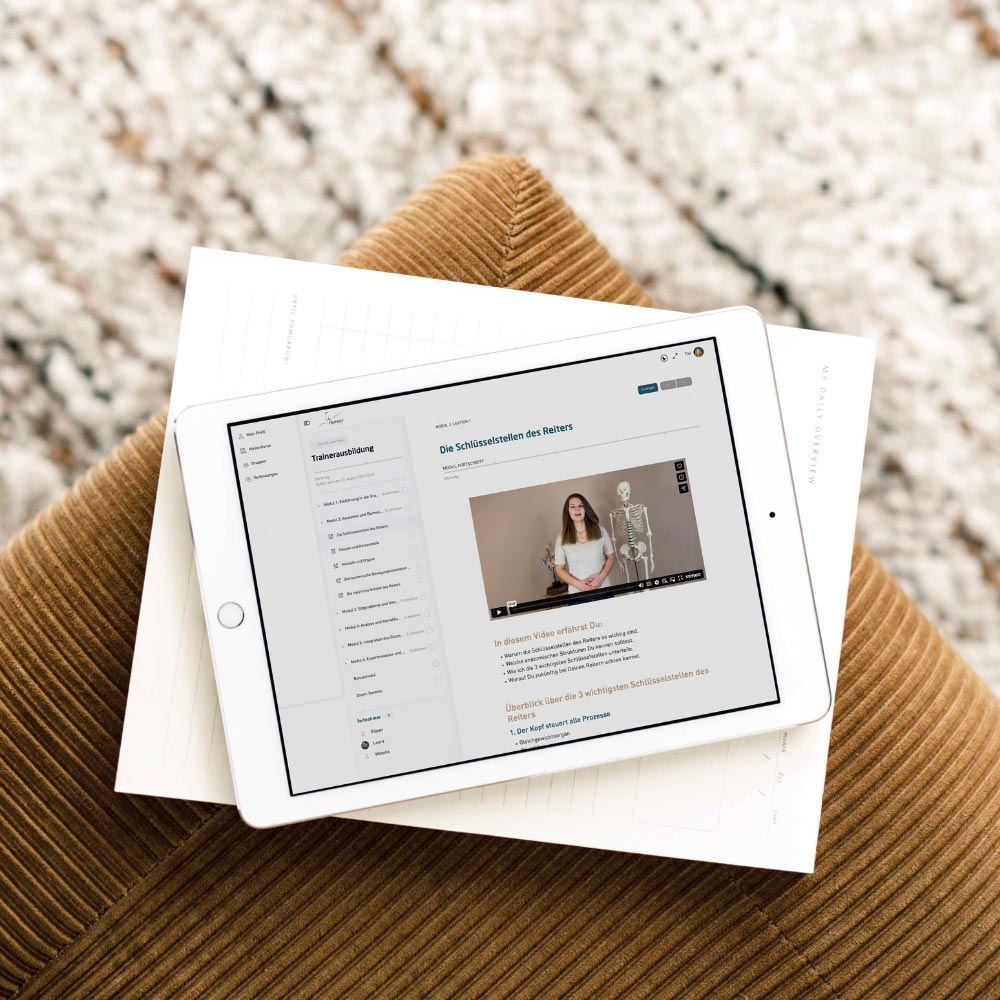 Webdesign Soest: Reiter bewegen